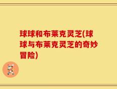 球球和布莱克灵芝(球球与布莱克灵芝的奇妙冒险)