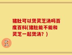 猪肚可以煲灵芝汤吗百度百科(猪肚能不能和灵芝一起煲汤？)