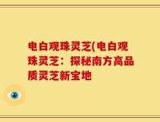 电白观珠灵芝(电白观珠灵芝：探秘南方高品质灵芝新宝地