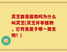 灵芝都是菌类吗为什么叫灵芝(灵芝并非植物，它究竟属于哪一类生物？)
