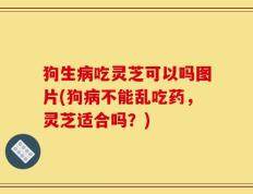 狗生病吃灵芝可以吗图片(狗病不能乱吃药，灵芝适合吗？)