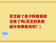 灵芝除了孢子粉根茎就没用了吗(灵芝的其他部分有哪些功效？)