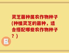 灵芝菌种属农作物种子(种植灵芝的菌种，适合搭配哪些农作物种子？)