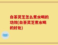 白茶灵芝怎么煮水喝的功效(白茶灵芝煮水喝的好处)