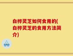 白桦灵芝如何食用的(白桦灵芝的食用方法简介)