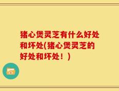 猪心煲灵芝有什么好处和坏处(猪心煲灵芝的好处和坏处！)