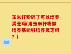 玉米杆粉碎了可以培养灵芝吗(用玉米杆粉做培养基能够培养灵芝吗？)
