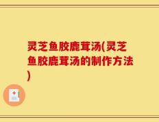 灵芝鱼胶鹿茸汤(灵芝鱼胶鹿茸汤的制作方法)