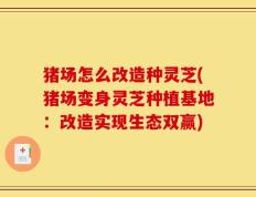 猪场怎么改造种灵芝(猪场变身灵芝种植基地：改造实现生态双赢)