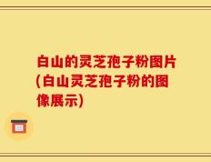 白山的灵芝孢子粉图片(白山灵芝孢子粉的图像展示)
