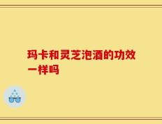 玛卡和灵芝泡酒的功效一样吗