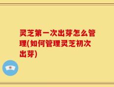 灵芝第一次出芽怎么管理(如何管理灵芝初次出芽)