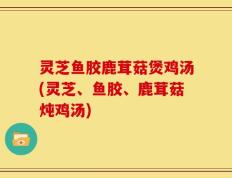 灵芝鱼胶鹿茸菇煲鸡汤(灵芝、鱼胶、鹿茸菇炖鸡汤)