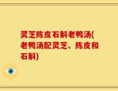 灵芝陈皮石斛老鸭汤(老鸭汤配灵芝、陈皮和石斛)