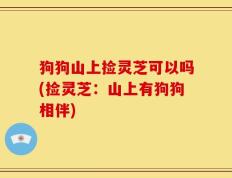 狗狗山上捡灵芝可以吗(捡灵芝：山上有狗狗相伴)