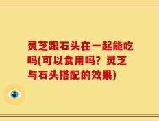 灵芝跟石头在一起能吃吗(可以食用吗？灵芝与石头搭配的效果)