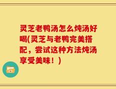 灵芝老鸭汤怎么炖汤好喝(灵芝与老鸭完美搭配，尝试这种方法炖汤享受美味！)