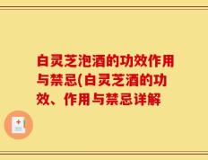 白灵芝泡酒的功效作用与禁忌(白灵芝酒的功效、作用与禁忌详解