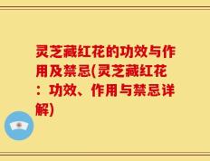 灵芝藏红花的功效与作用及禁忌(灵芝藏红花：功效、作用与禁忌详解)