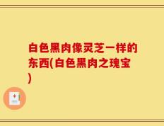 白色黑肉像灵芝一样的东西(白色黑肉之瑰宝)