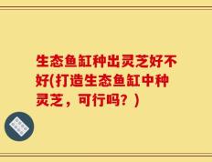 生态鱼缸种出灵芝好不好(打造生态鱼缸中种灵芝，可行吗？)