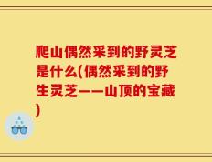 爬山偶然采到的野灵芝是什么(偶然采到的野生灵芝——山顶的宝藏)