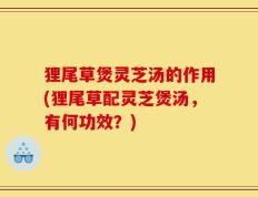 狸尾草煲灵芝汤的作用(狸尾草配灵芝煲汤，有何功效？)
