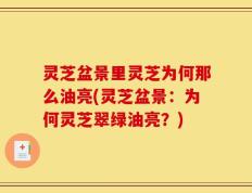 灵芝盆景里灵芝为何那么油亮(灵芝盆景：为何灵芝翠绿油亮？)