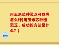 用玉米芯种灵芝可以吗怎么种(用玉米芯种植灵芝，成功的方法是什么？)