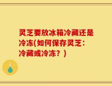 灵芝要放冰箱冷藏还是冷冻(如何保存灵芝：冷藏或冷冻？)