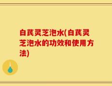 白芪灵芝泡水(白芪灵芝泡水的功效和使用方法)