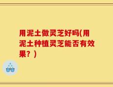 用泥土做灵芝好吗(用泥土种植灵芝能否有效果？)