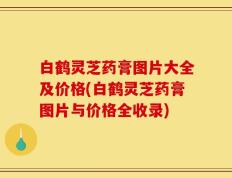 白鹤灵芝药膏图片大全及价格(白鹤灵芝药膏图片与价格全收录)