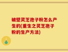 破壁灵芝孢子粉怎么产生的(重生之灵芝孢子粉的生产方法)