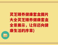 灵芝臻养健康套盒图片大全灵芝臻养健康套盒全景展示，让你迈向健康生活的序章)
