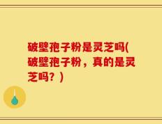 破壁孢子粉是灵芝吗(破壁孢子粉，真的是灵芝吗？)