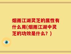 烟雨江湖灵芝的属性有什么用(烟雨江湖中灵芝的功效是什么？)