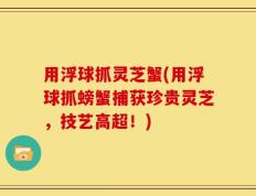 用浮球抓灵芝蟹(用浮球抓螃蟹捕获珍贵灵芝，技艺高超！)