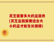 灵芝需要多大的盆栽养(灵芝盆栽需要适合大小的盆才能生长健康)