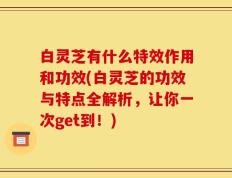 白灵芝有什么特效作用和功效(白灵芝的功效与特点全解析，让你一次get到！)