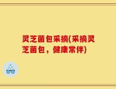 灵芝菌包采摘(采摘灵芝菌包，健康常伴)