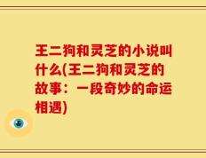 王二狗和灵芝的小说叫什么(王二狗和灵芝的故事：一段奇妙的命运相遇)