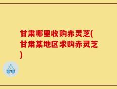 甘肃哪里收购赤灵芝(甘肃某地区求购赤灵芝)