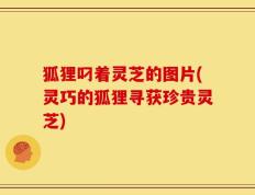 狐狸叼着灵芝的图片(灵巧的狐狸寻获珍贵灵芝)