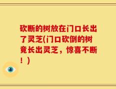 砍断的树放在门口长出了灵芝(门口砍倒的树竟长出灵芝，惊喜不断！)