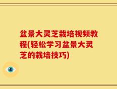 盆景大灵芝栽培视频教程(轻松学习盆景大灵芝的栽培技巧)