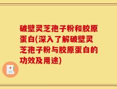 破壁灵芝孢子粉和胶原蛋白(深入了解破壁灵芝孢子粉与胶原蛋白的功效及用途)