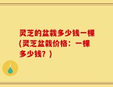 灵芝的盆栽多少钱一棵(灵芝盆栽价格：一棵多少钱？)