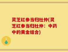 灵芝红参当归杜仲(灵芝红参当归杜仲：中药中的黄金组合)