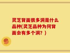 灵芝背面很多洞是什么品种(灵芝品种为何背面会有多个洞？)